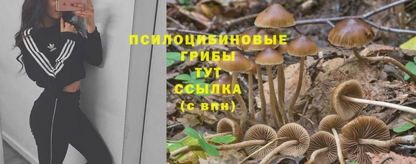 бошки Бронницы